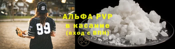 прущие грибы Верхнеуральск