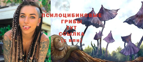 mix Верея
