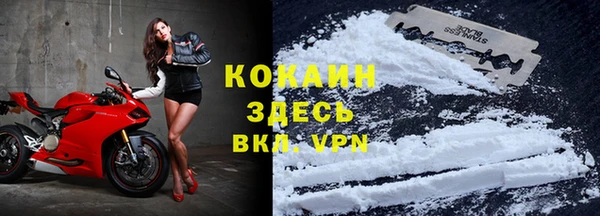 прущие грибы Верхнеуральск