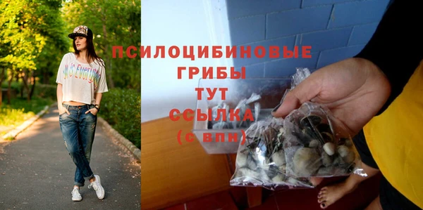 прущие грибы Верхнеуральск