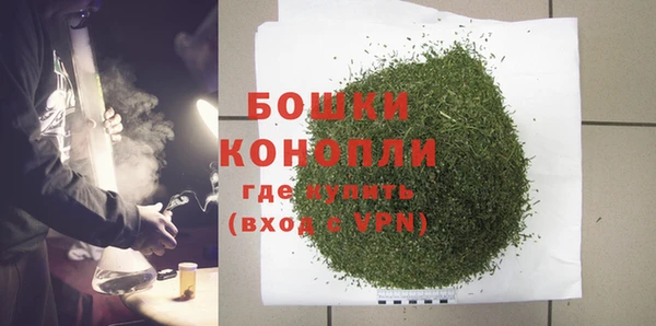 прущие грибы Верхнеуральск