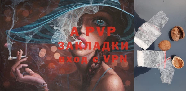 прущие грибы Верхнеуральск