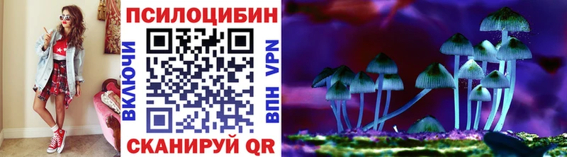 Галлюциногенные грибы Psilocybine cubensis  MEGA как зайти  Сызрань 